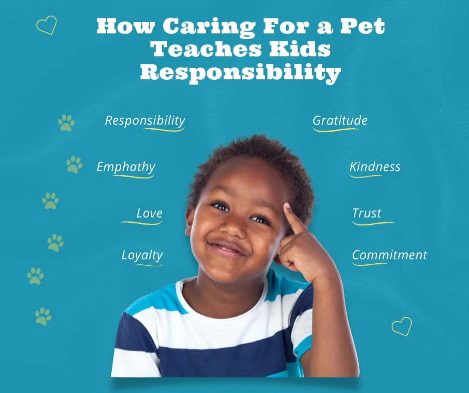 can-pets-teach-kids-responsibility-alicia-ortego